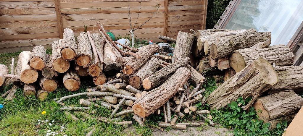 Brandhout - nog te klieven, Tuin en Terras, Brandhout, Stammen, Eikenhout, 3 tot 6 m³, Ophalen