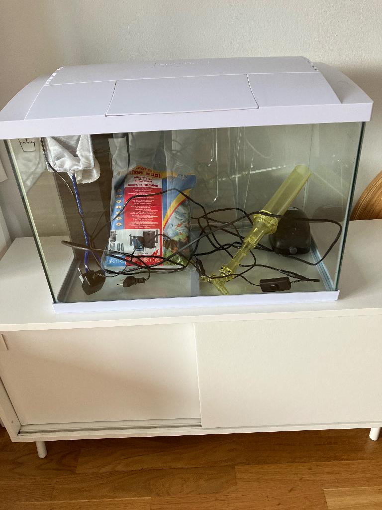 Visaquarium, Dieren en Toebehoren, Ophalen, Gebruikt, Superfish