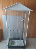 Vogelkooi, Dieren en Toebehoren, Ophalen, Vogelkooi
