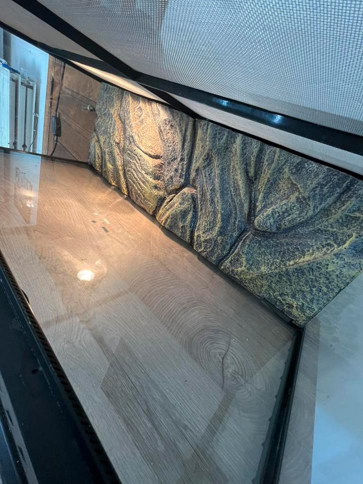 Exo terra terrarium, Dieren en Toebehoren, Reptielen en Amfibieën | Toebehoren, Zo goed als nieuw, Ophalen