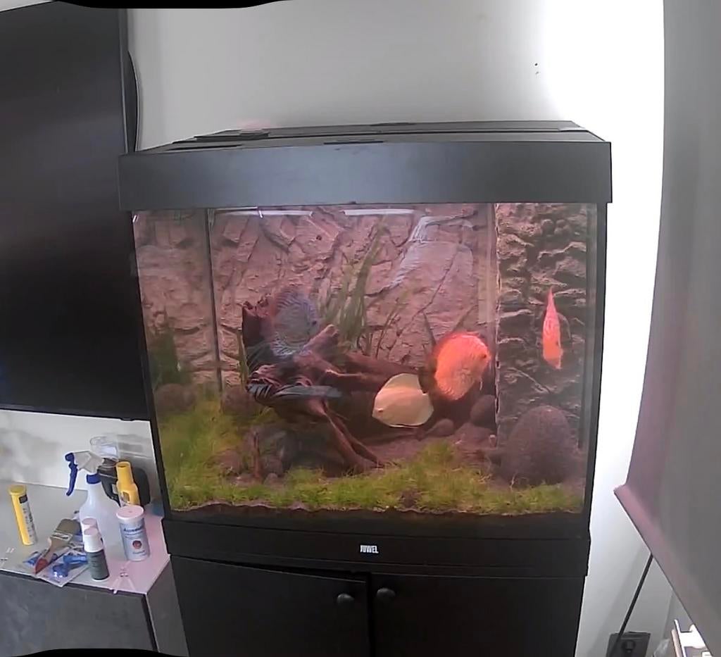 Juwel lido 200 met chihiros lamp en veel accessoires, Ophalen, Zo goed als nieuw, Filter, Chihiros