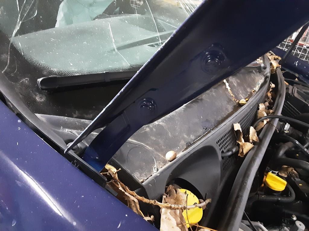 CHARNIERE DE CAPOT DROIT Dacia Sandero II (01-2012/12-2018), Utilisé, Dacia