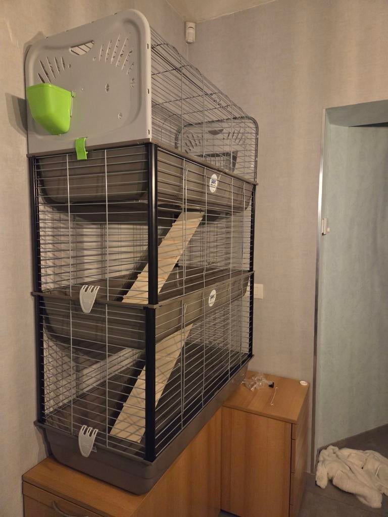 Clapier à lapins à 3 étages, Animaux & Accessoires, Rongeurs & Lapins | Cages & Clapiers, Niche, Enlèvement