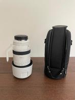 Canon RF 100-500mm F/4.5-7.1 L IS USM, Ophalen, Zo goed als nieuw, Telelens, Zoom