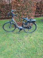 Koga E-Nova Lady Maat 50 (2017), Enlèvement