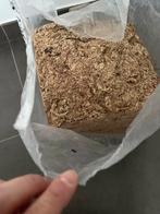 Spaghnum mos, 3 kg, Ophalen