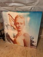 Stefanie Schneider - Caitlin alias Jane Bond II - LUMAS, Enlèvement