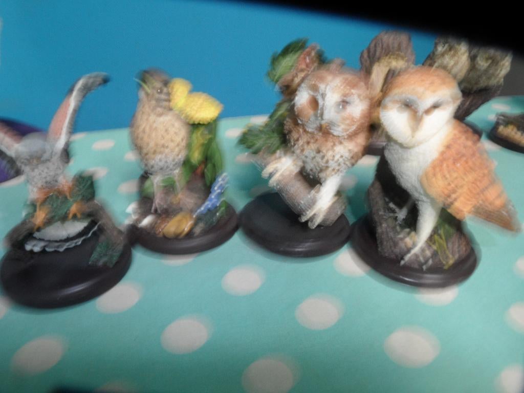 av petit oiseaux de collection 3 euro pieces, Verzamelen, Overige Verzamelen, Ophalen, Nieuw