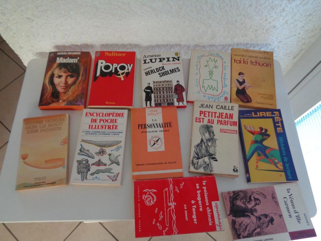 Lot de livres de Poche divers. 12 pièces., Envoi, Utilisé, Divers auteurs