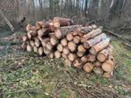 Bois résineux a vendre, 6 m³ ou plus, Enlèvement, Autres essences de bois, Bûches