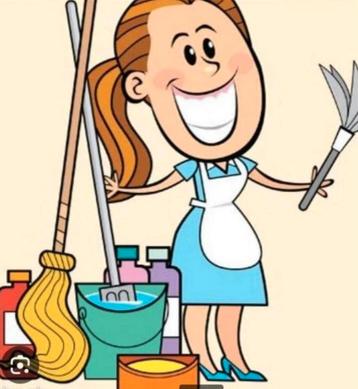 Schoonmaakster  zoekt voor werk regio Aalst beschikbaar voor biedingen
