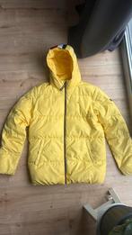 tommy hilfiger winter jas, Ophalen, Geel, Tommy hilfiger, Gedragen
