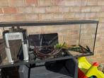 Aquarium met toebehoren, Dieren en Toebehoren, Vissen | Aquaria en Toebehoren, Ophalen, Gebruikt, Leeg aquarium