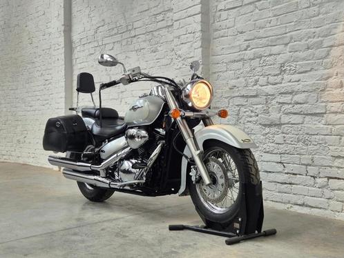 Suzuki Volusia Intruder VL 800 C 12000km @motomobilia, Motoren, Motoren | Suzuki, Bedrijf, Chopper, meer dan 35 kW, 2 cilinders