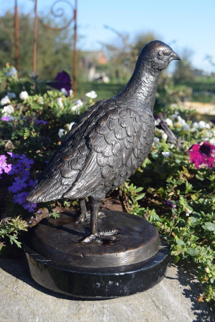 Schitterende bronzen patrijs op marmeren voet, Antiek en Kunst, Antiek | Brons en Koper, Brons, Ophalen of Verzenden