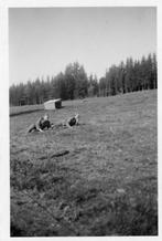 4 orig. foto's - Wehrmacht soldaten in Vielsalm - WO2, Foto of Poster, Landmacht, Verzenden