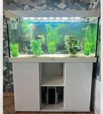 Aquarium, Animaux & Accessoires, Enlèvement, Utilisé