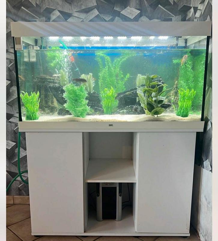 Aquarium avec meuble, Animaux & Accessoires, Poissons | Aquariums & Accessoires, Utilisé, Enlèvement