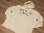 Hoodie Gaastra Off-white - Large, Comme neuf, Gaastra, Enlèvement ou Envoi, Taille 52/54 (L)