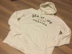 Hoodie Gaastra Off-white - Large, Maat 52/54 (L), Gaastra, Wit, Ophalen of Verzenden