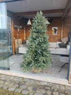 Kerstboom, Enlèvement