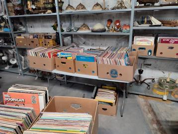 Lot van +/- 1.500 platen beschikbaar voor biedingen