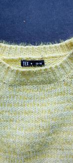 trui Tex maat 158, Kinderen en Baby's, Kinderkleding | Maat 158, Tex, Meisje, Trui of Vest, Ophalen of Verzenden