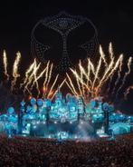 GEZOCHT: 1 ticket TOMMOROWLAND W2 zaterdag, Tickets & Billets, Événements & Festivals, Une personne