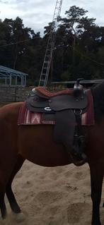 Western zadel, Dieren en Toebehoren, Ophalen, Gebruikt, Western