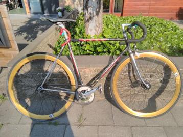 Golden Fixie / Singlespeed Frame Concorde 