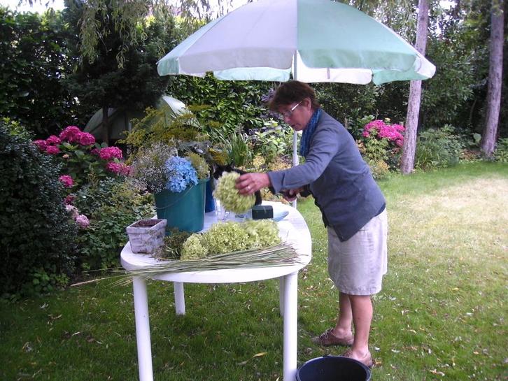 plant een bos, Tuin en Terras, Planten | Bomen, Ophalen
