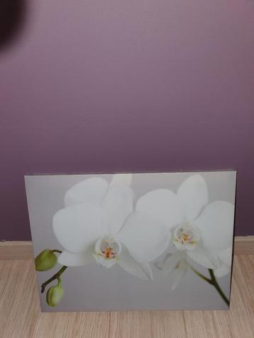 Canvas kader orchidee, Enlèvement ou Envoi