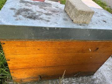 Ruche Mellifera, Abeilles