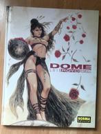 LUIS ROYO ROMULO - DÔME - LIVRE D'ART ÉROTIQUE + AFFICHE + E, Antiquités & Art, Enlèvement ou Envoi