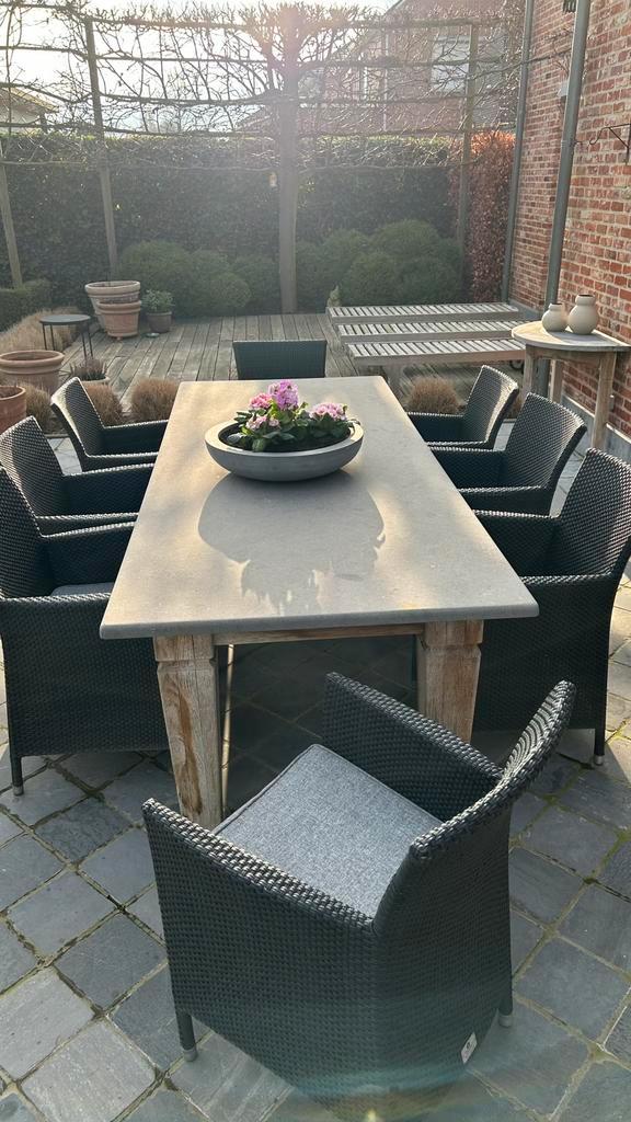Tuintafel met stoelen, Jardin & Terrasse, Ensembles de jardin, Utilisé, Salons de jardin, Bois, 8 places, Table à dinner, Enlèvement