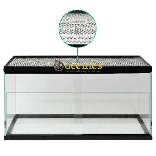 Hamster quarantaine kooi – Mini terrarium, Animaux & Accessoires, Rongeurs & Lapins | Cages & Clapiers, Neuf, Niche, Moins de 60 cm