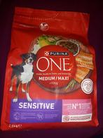 Nourriture pour chien, Chien