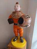 Statue de Tintin, Enlèvement, Tintin