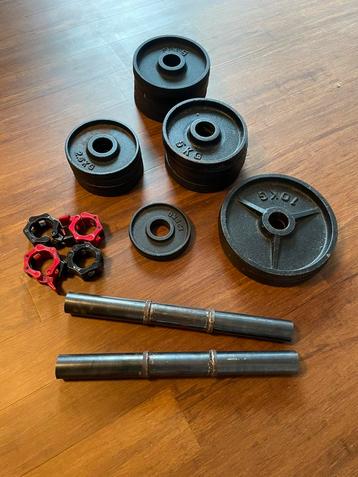 50mm halterschijven met dumbells, sluiting en schijvenhouder, Sport en Fitness, Ophalen, Zo goed als nieuw, Halterschijven