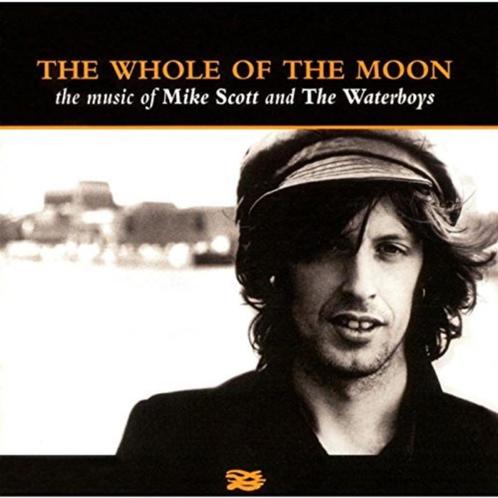 The Waterboys - The whole of the moon  (CD), Cd's en Dvd's, Cd's | Rock, Zo goed als nieuw, Ophalen of Verzenden