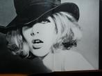 Foto's van Sam Haskins Cowboy Kate, Ophalen of Verzenden, Gelezen, Fotografie algemeen