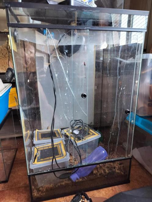 Terrarium, Dieren en Toebehoren, Reptielen en Amfibieën | Toebehoren, Gebruikt, Terrarium of Paludarium, Ophalen