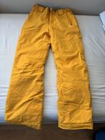 Skibroek kinderen Dare2Be - maat 164 - 14 jaar, Sport en Fitness, Skiën en Langlaufen, Overige merken, Gebruikt, Ophalen of Verzenden