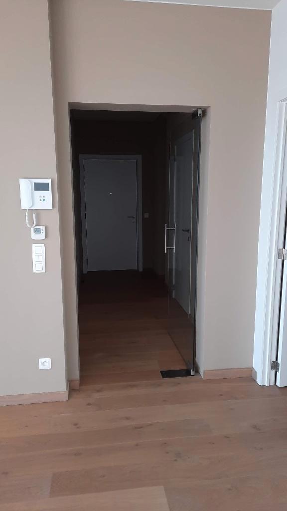 glazen binnendeur, Doe-het-zelf en Bouw, Deuren en Vliegenramen, Zo goed als nieuw, Binnendeur, 200 tot 215 cm, 100 tot 120 cm