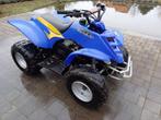 QUAD ETON VIPER 90CC 2takt (yamaha raptor 90cc), Motoren, 1 cilinder, 90 cc, 11 kW of minder