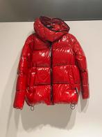Tommy Hilfiger, Kleding | Dames, Wintersportkleding, Ophalen of Verzenden, Zo goed als nieuw, Maat 36 (S)