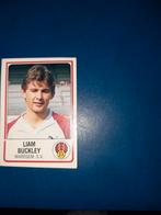 Panini football 86 Liam Buckley Waregem, Ophalen of Verzenden, Nieuw, Poster, Plaatje of Sticker