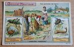 Chromoprent Meurisse. Serie IX nr11. Begin jaren 1900., Ophalen of Verzenden