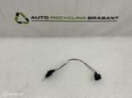 Achterlicht Fitting Renault Clio 4 ORIGINEEL 265552424R, Gebruikt, Renault, Ophalen of Verzenden, Renault