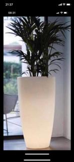 Elgo pot met Led verlichting en 3Meter snoer, Ophalen, Zo goed als nieuw, Binnen